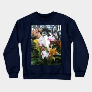 Colorful Orchids in Front of Wrought Iron Gate Crewneck Sweatshirt